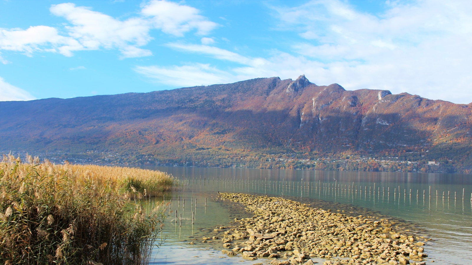 Balade bord le lac du bourget